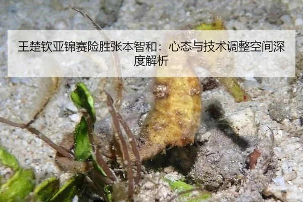 王楚钦亚锦赛险胜张本智和：心态与技术调整空间深度解析