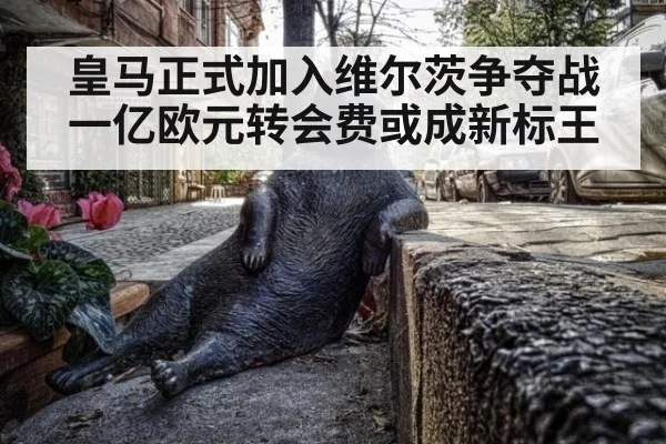 皇马正式加入维尔茨争夺战一亿欧元转会费或成新标王